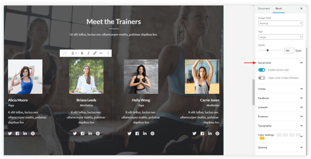 team-social-links