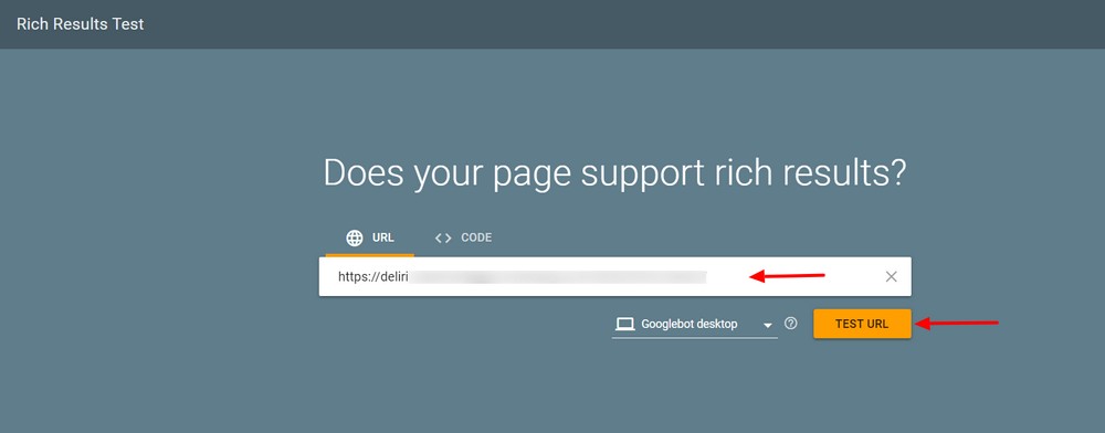 Rich Results Test Google Search Console