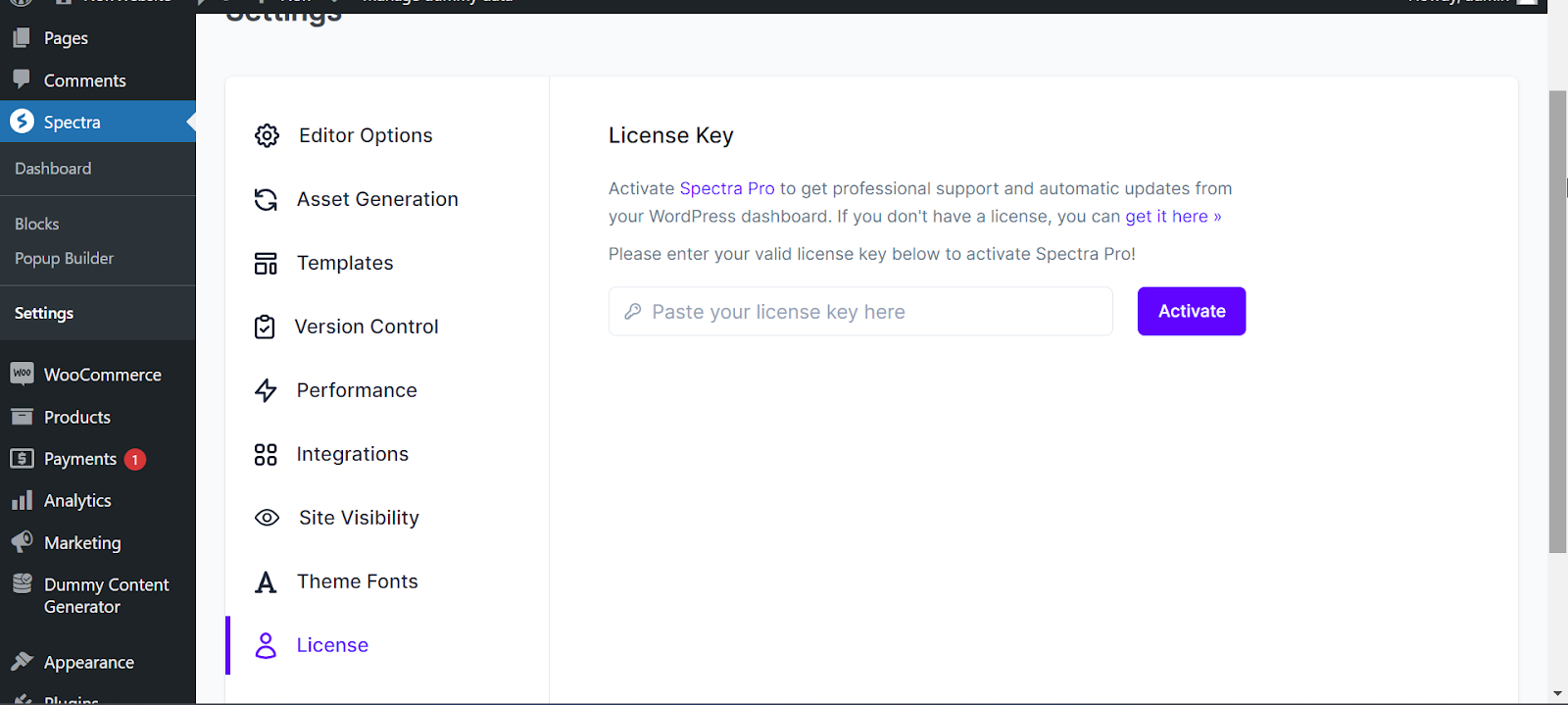 How to Activate Spectra Pro License