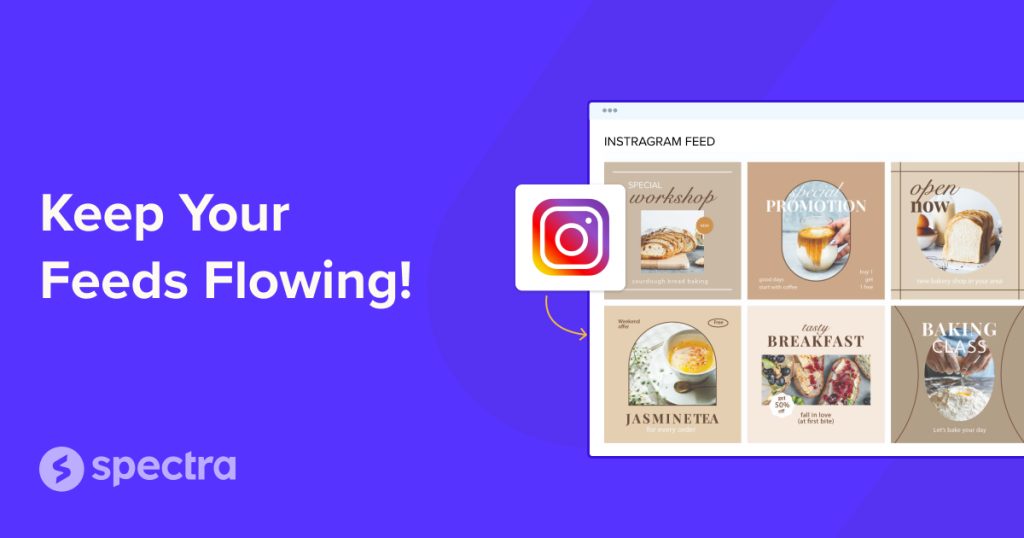 Instagram Feed Block