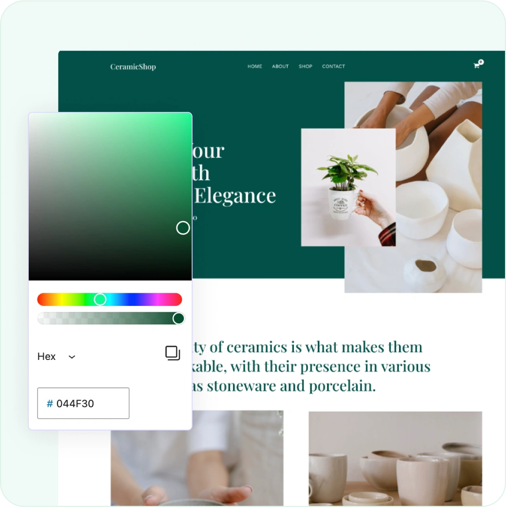 Color Customization